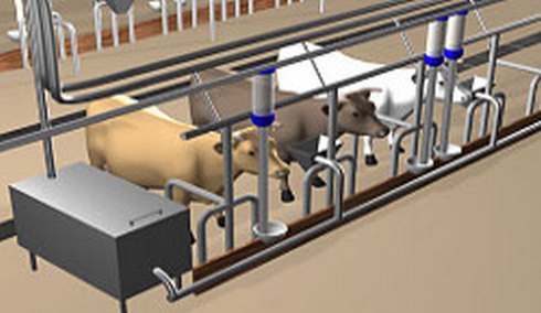 Системы поения по уровню при привязном содержании коров (секция на 25 голов КРС)